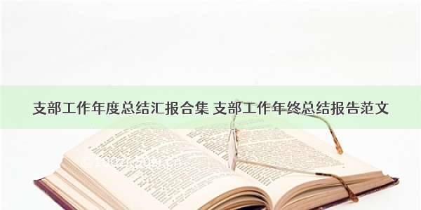 支部工作年度总结汇报合集 支部工作年终总结报告范文