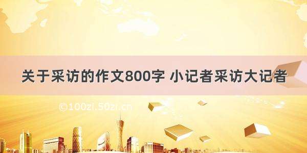 关于采访的作文800字 小记者采访大记者