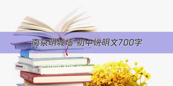 南京明城墙 初中说明文700字