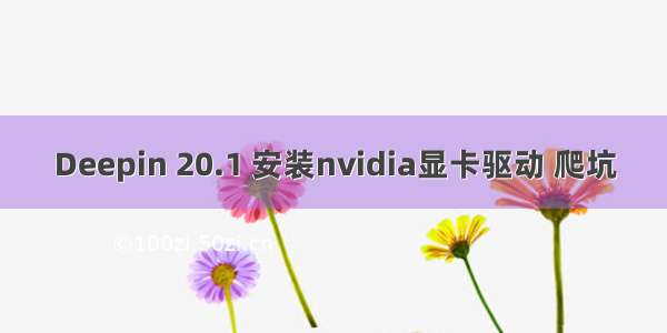 Deepin 20.1 安装nvidia显卡驱动 爬坑