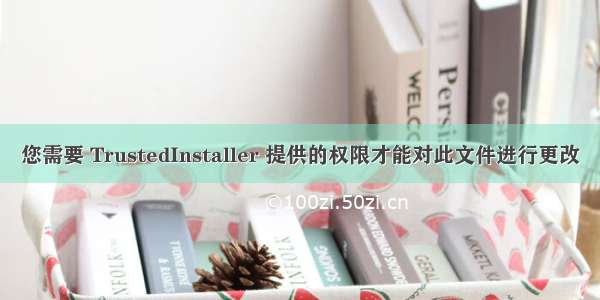 您需要 TrustedInstaller 提供的权限才能对此文件进行更改