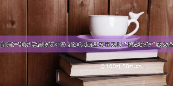 粮食增产和农民增收两不误 浙江苍南县巧用天时“稻菜轮作”成效显著