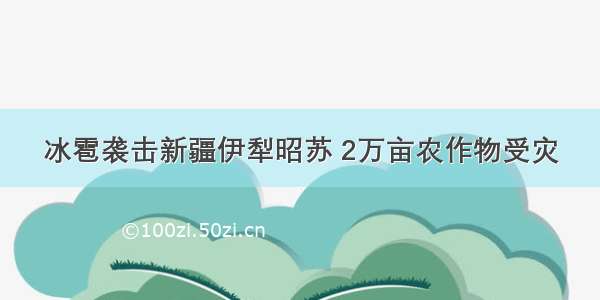 冰雹袭击新疆伊犁昭苏 2万亩农作物受灾