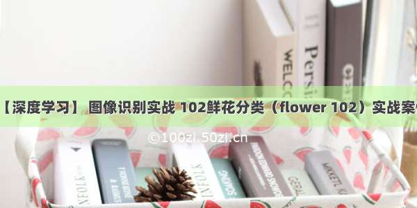 【深度学习】 图像识别实战 102鲜花分类（flower 102）实战案例