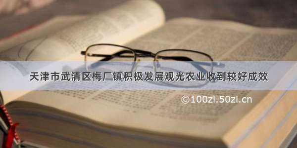 天津市武清区梅厂镇积极发展观光农业收到较好成效