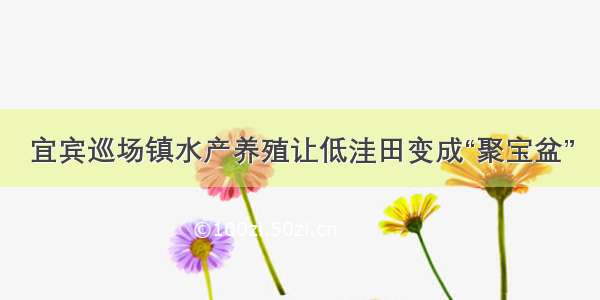 宜宾巡场镇水产养殖让低洼田变成“聚宝盆”