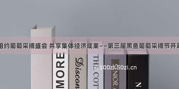 相约葡萄采摘盛会 共享集体经济成果——第三届黑鱼葡萄采摘节开幕