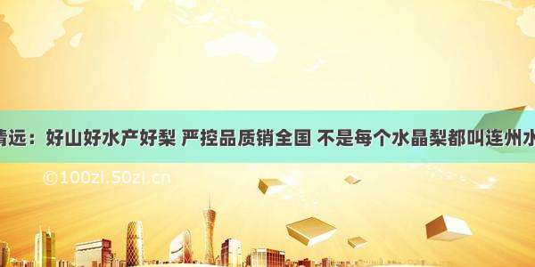 广东清远：好山好水产好梨 严控品质销全国 不是每个水晶梨都叫连州水晶梨！