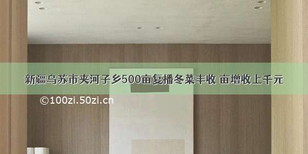 新疆乌苏市夹河子乡500亩复播冬菜丰收 亩增收上千元