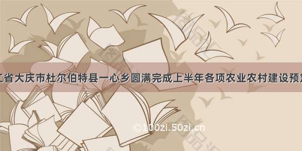 黑龙江省大庆市杜尔伯特县一心乡圆满完成上半年各项农业农村建设预定目标