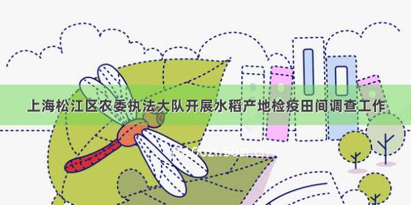 上海松江区农委执法大队开展水稻产地检疫田间调查工作