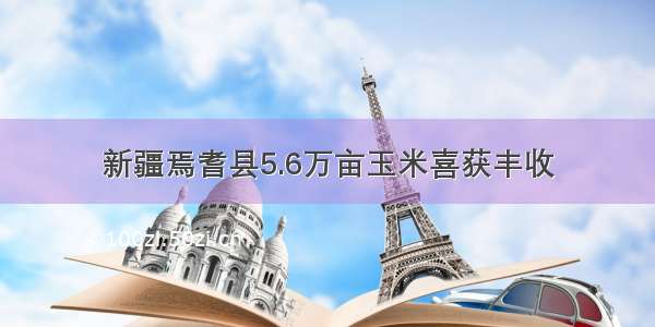 新疆焉耆县5.6万亩玉米喜获丰收