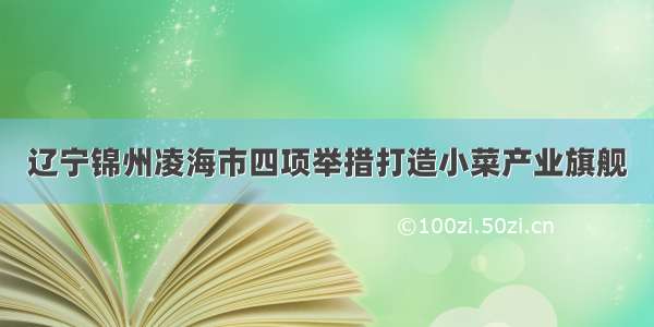 辽宁锦州凌海市四项举措打造小菜产业旗舰