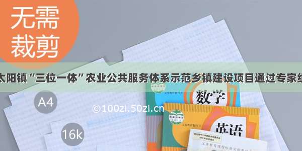 浙江太阳镇“三位一体”农业公共服务体系示范乡镇建设项目通过专家组验收