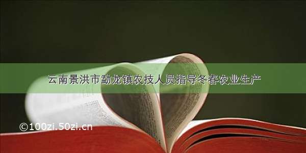 云南景洪市勐龙镇农技人员指导冬春农业生产