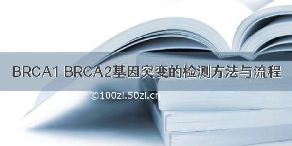 BRCA1 BRCA2基因突变的检测方法与流程