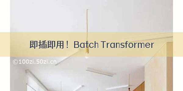 即插即用！Batch Transformer