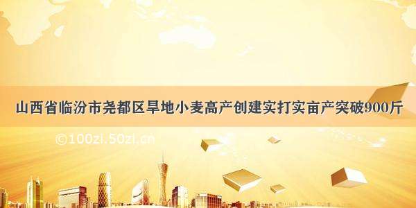 山西省临汾市尧都区旱地小麦高产创建实打实亩产突破900斤