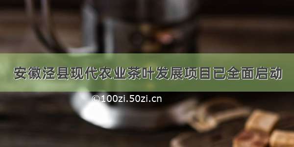 安徽泾县现代农业茶叶发展项目已全面启动
