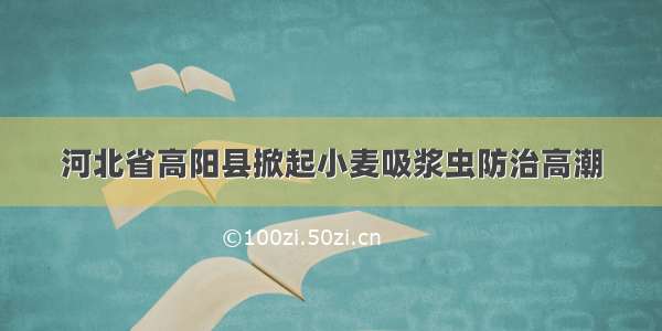 河北省高阳县掀起小麦吸浆虫防治高潮