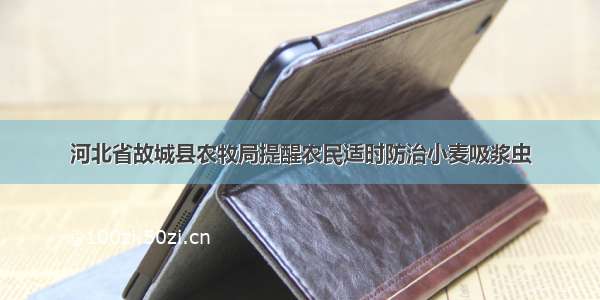 河北省故城县农牧局提醒农民适时防治小麦吸浆虫