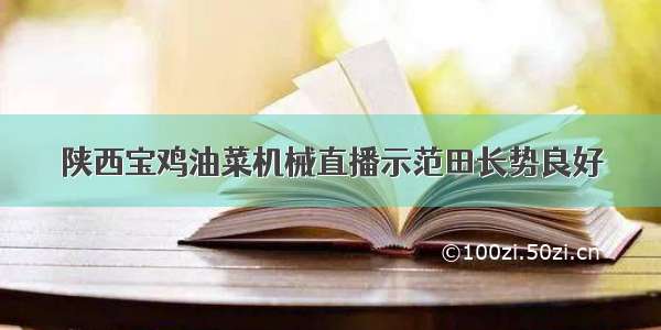 陕西宝鸡油菜机械直播示范田长势良好