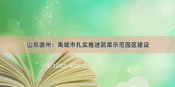 山东德州：禹城市扎实推进蔬菜示范园区建设