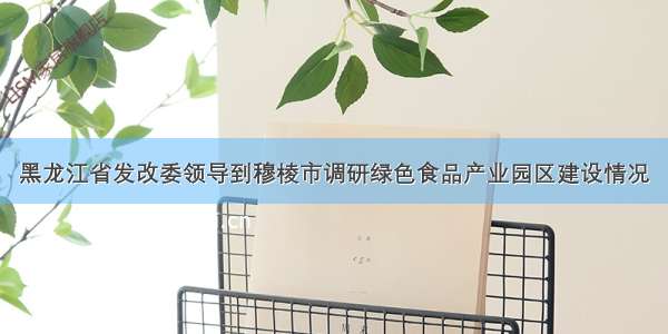 黑龙江省发改委领导到穆棱市调研绿色食品产业园区建设情况