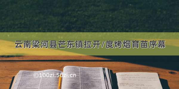 云南梁河县芒东镇拉开/度烤烟育苗序幕