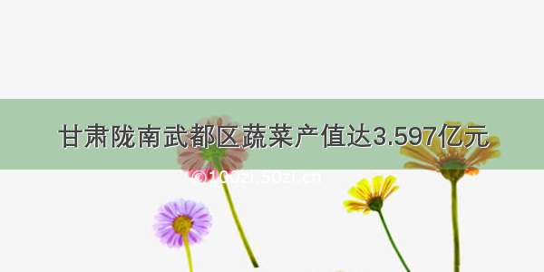 甘肃陇南武都区蔬菜产值达3.597亿元