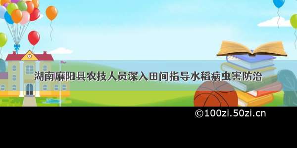 湖南麻阳县农技人员深入田间指导水稻病虫害防治