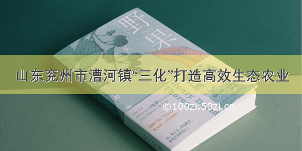 山东兖州市漕河镇“三化”打造高效生态农业