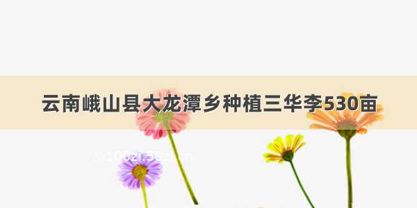 云南峨山县大龙潭乡种植三华李530亩