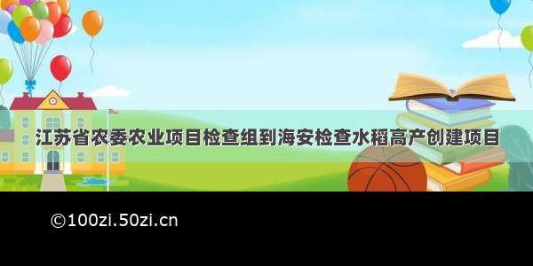 江苏省农委农业项目检查组到海安检查水稻高产创建项目