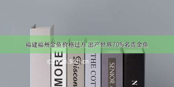 福建福州金鱼价格过万 出产世界70%名贵金鱼