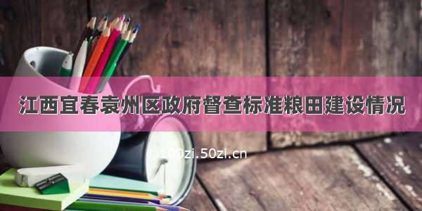 江西宜春袁州区政府督查标准粮田建设情况