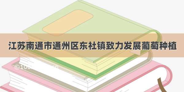 江苏南通市通州区东社镇致力发展葡萄种植