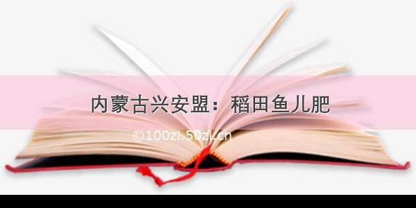 内蒙古兴安盟：稻田鱼儿肥