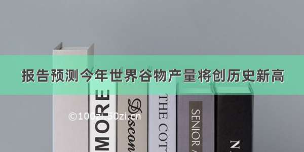 报告预测今年世界谷物产量将创历史新高