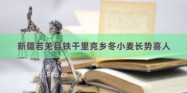 新疆若羌县铁干里克乡冬小麦长势喜人