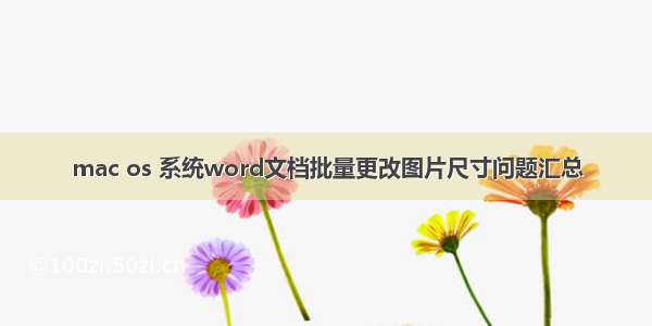 mac os 系统word文档批量更改图片尺寸问题汇总