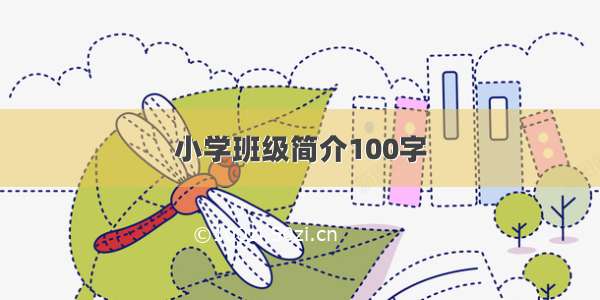 小学班级简介100字