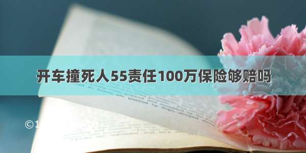 开车撞死人55责任100万保险够赔吗