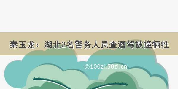 秦玉龙：湖北2名警务人员查酒驾被撞牺牲