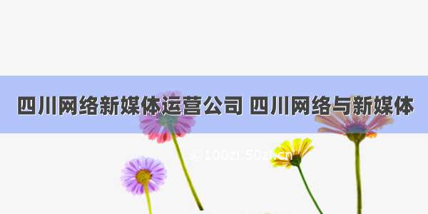 四川网络新媒体运营公司 四川网络与新媒体