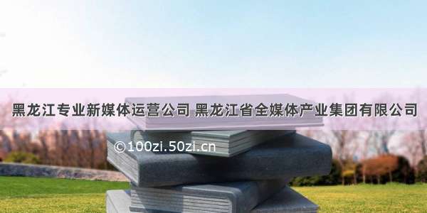 黑龙江专业新媒体运营公司 黑龙江省全媒体产业集团有限公司