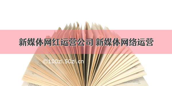 新媒体网红运营公司 新媒体网络运营