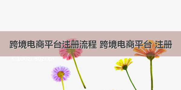 跨境电商平台注册流程 跨境电商平台 注册