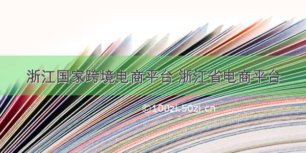 浙江国家跨境电商平台 浙江省电商平台