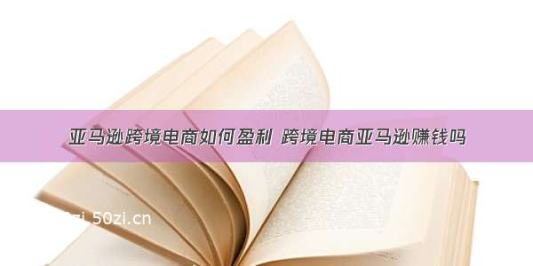 亚马逊跨境电商如何盈利 跨境电商亚马逊赚钱吗